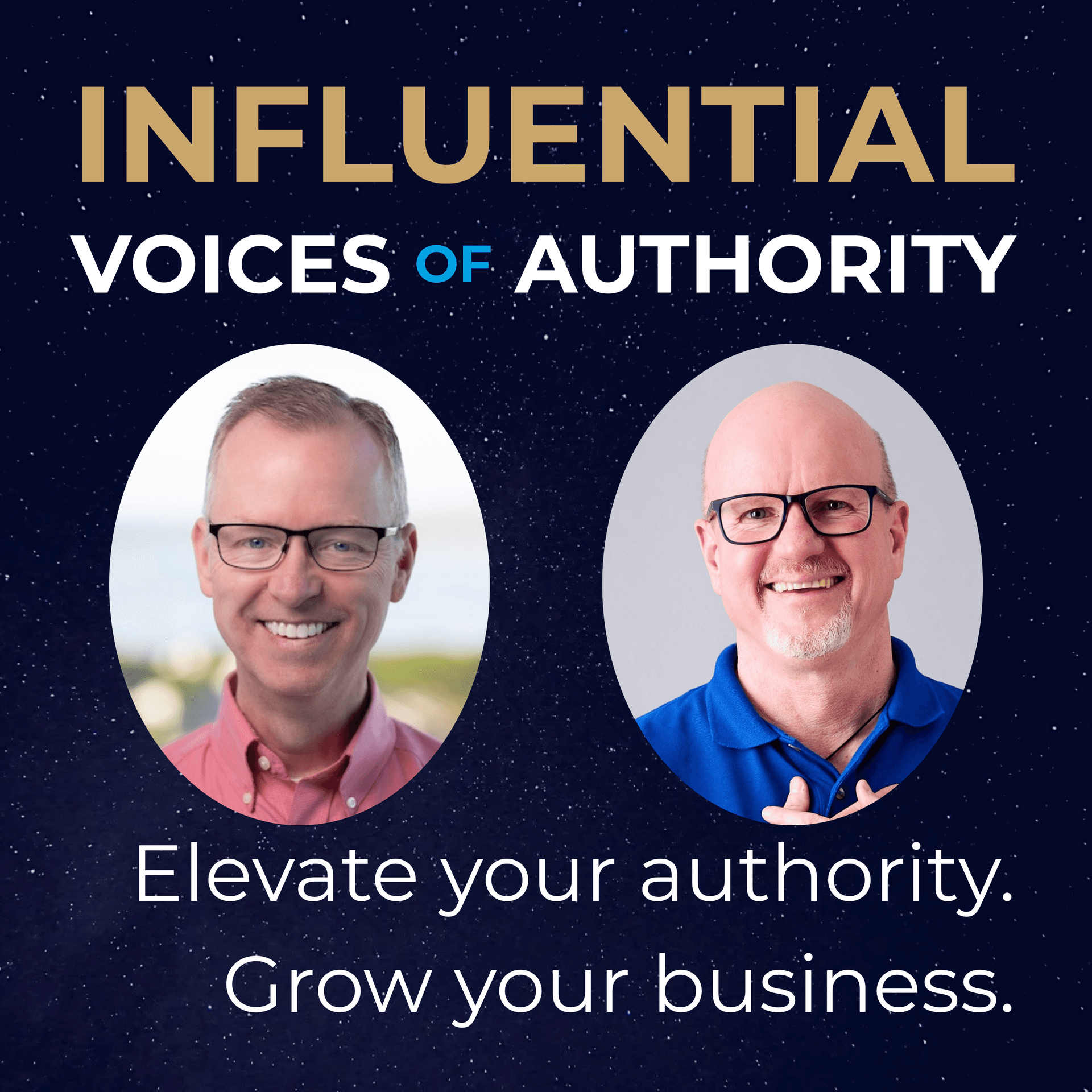 Turning Busywork Into Authority: Lou Swart on Delegation for Coaches and Experts – IVA 563 — Influential Voices of Authority cover