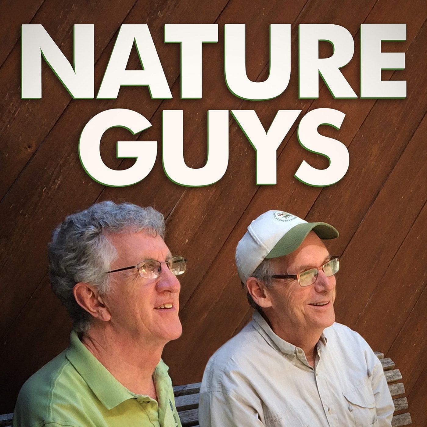 Japanese Beetles - Nature Guys cover