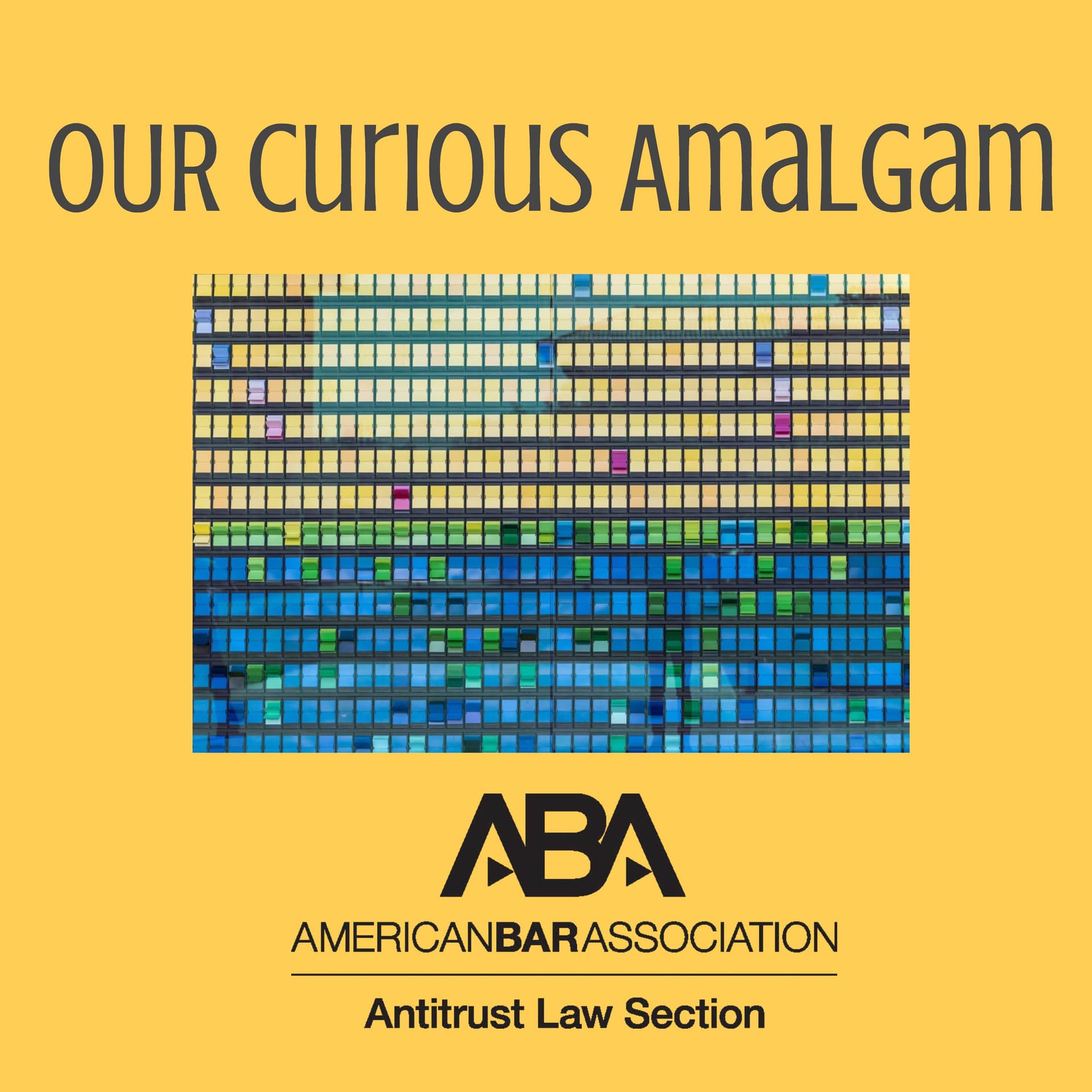 Our Curious Amalgam cover