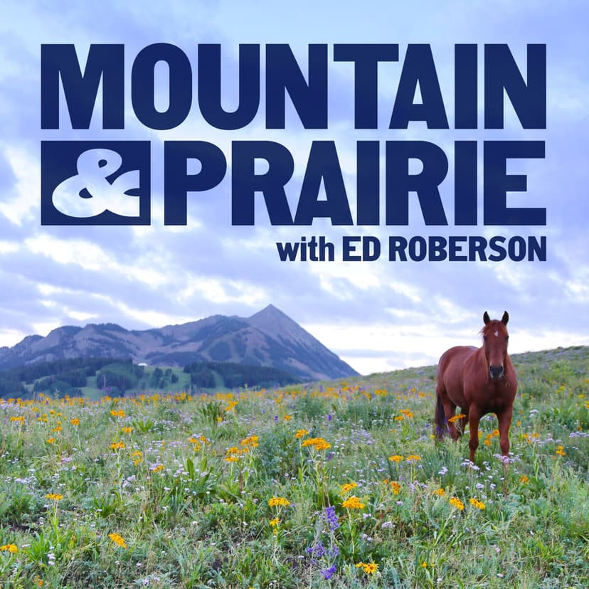 Mountain & Prairie with Ed Roberson cover