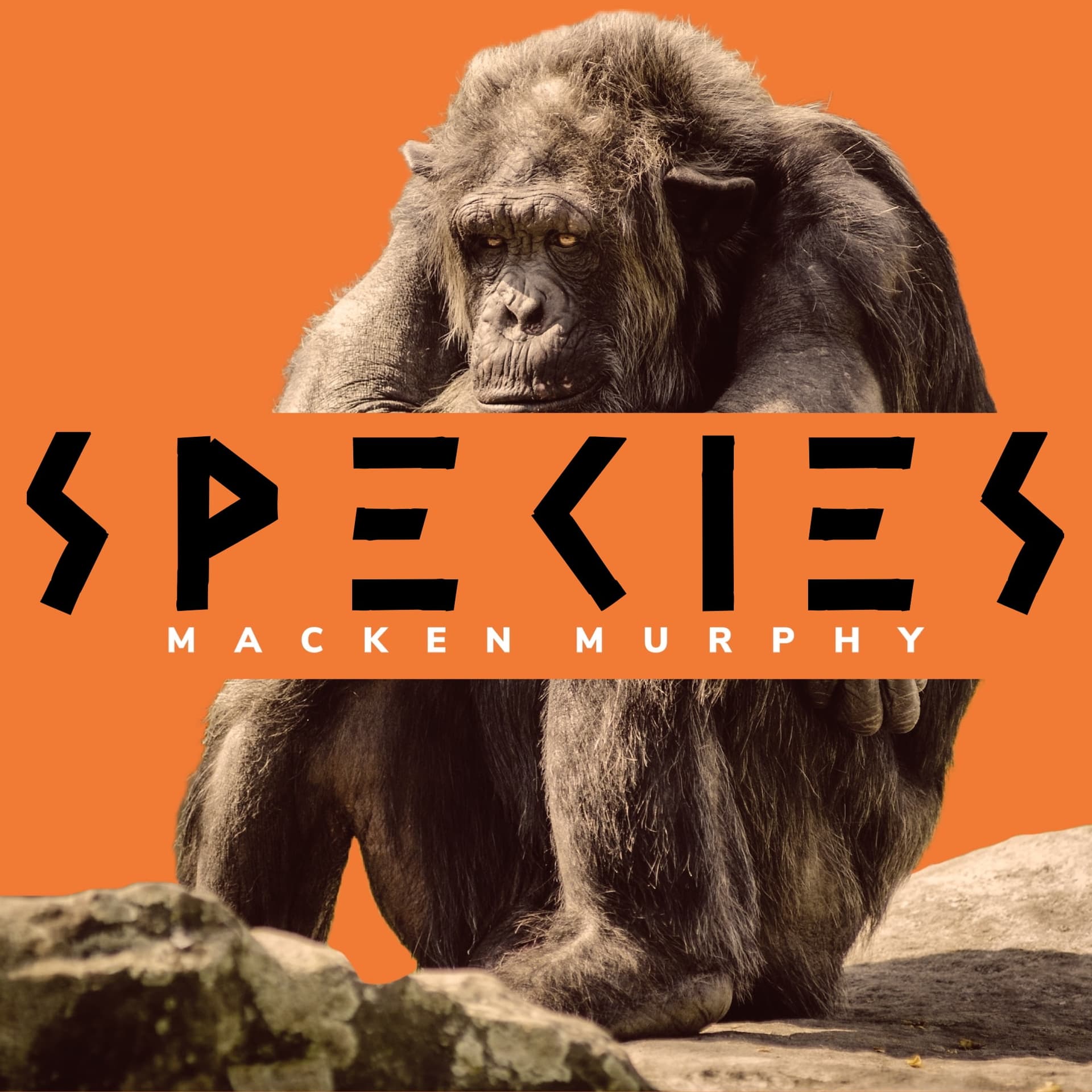 Manta Ray - Species cover