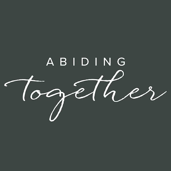S07 Episode 19: The Fruit of the Holy Spirit - Abiding Together cover