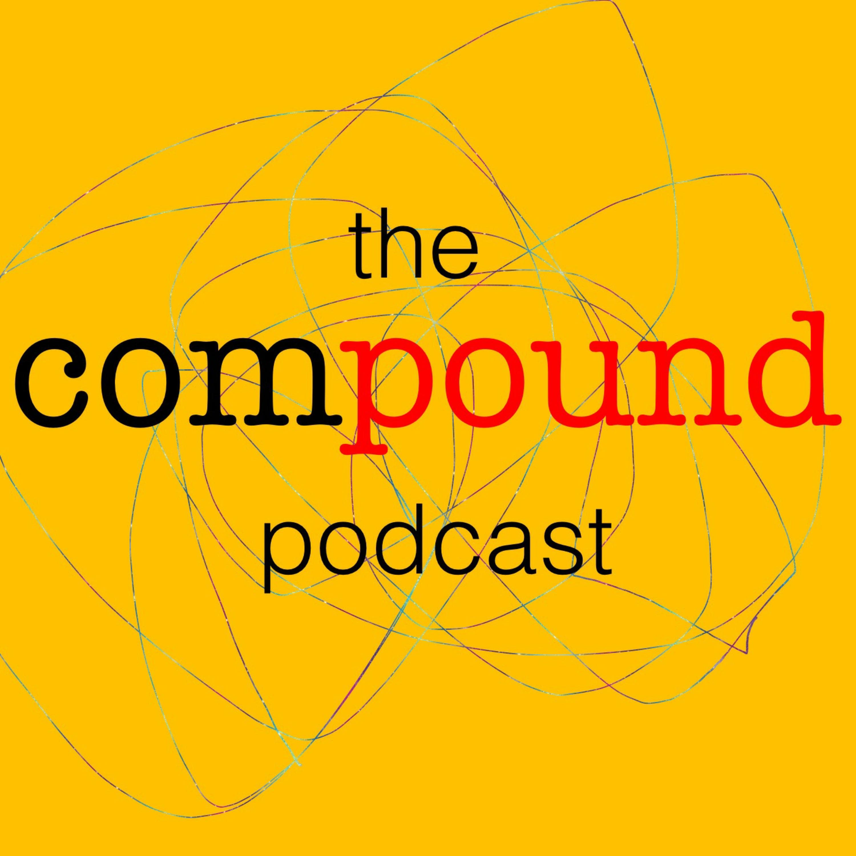 Pilot Episode - Friendship - the compound cover
