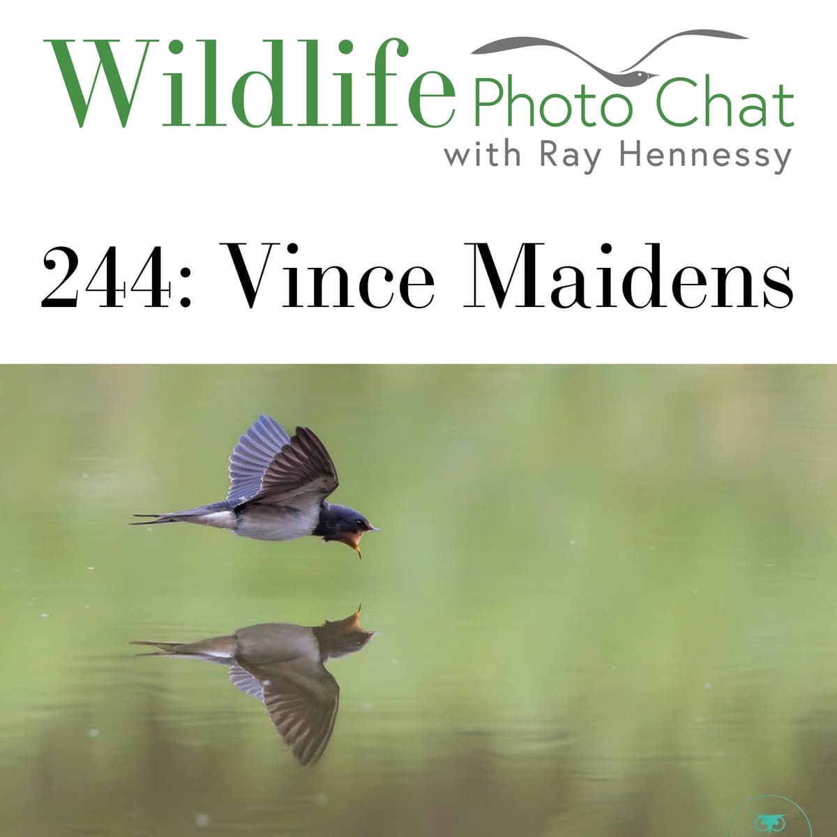 244: Vince Maidens - Wildlife Photo Chat cover