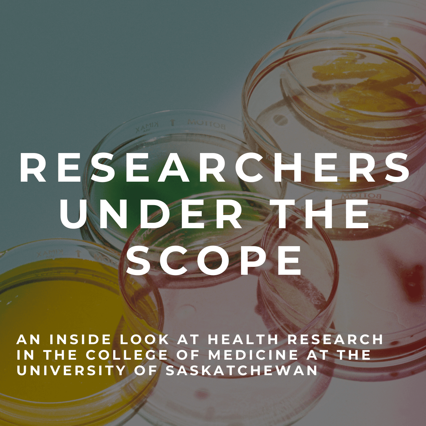 Researchers Under the Scope cover