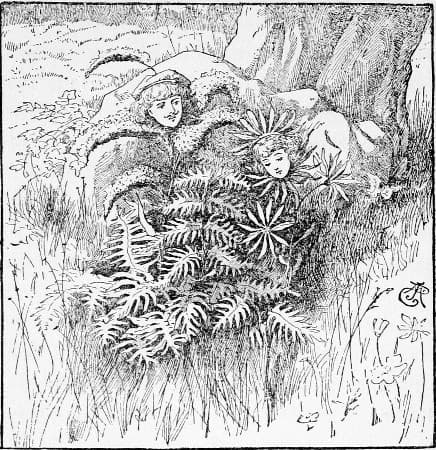 The Folktale Project Classics - Queen Aster - The Folktale Project cover