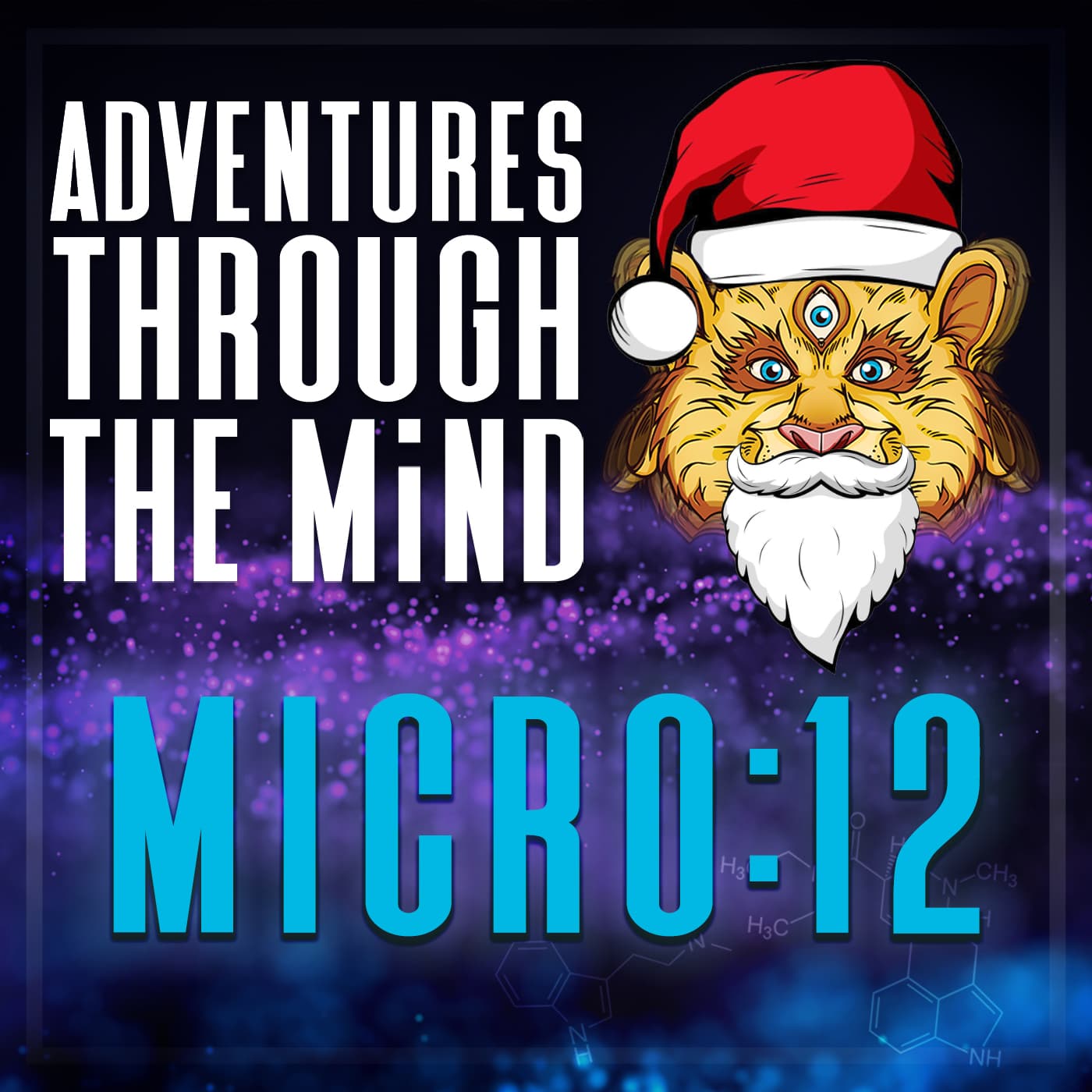 MICRO:12 - Mushroom Santa Confusion, Tom Hatsis - Adventures Through The Mind cover