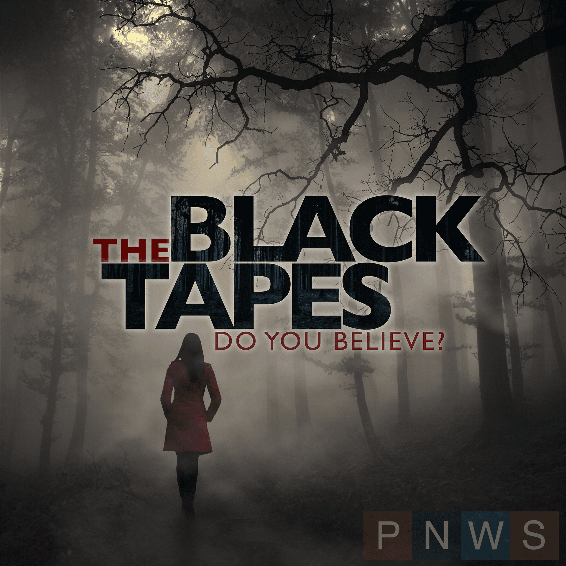 The Black Tapes cover