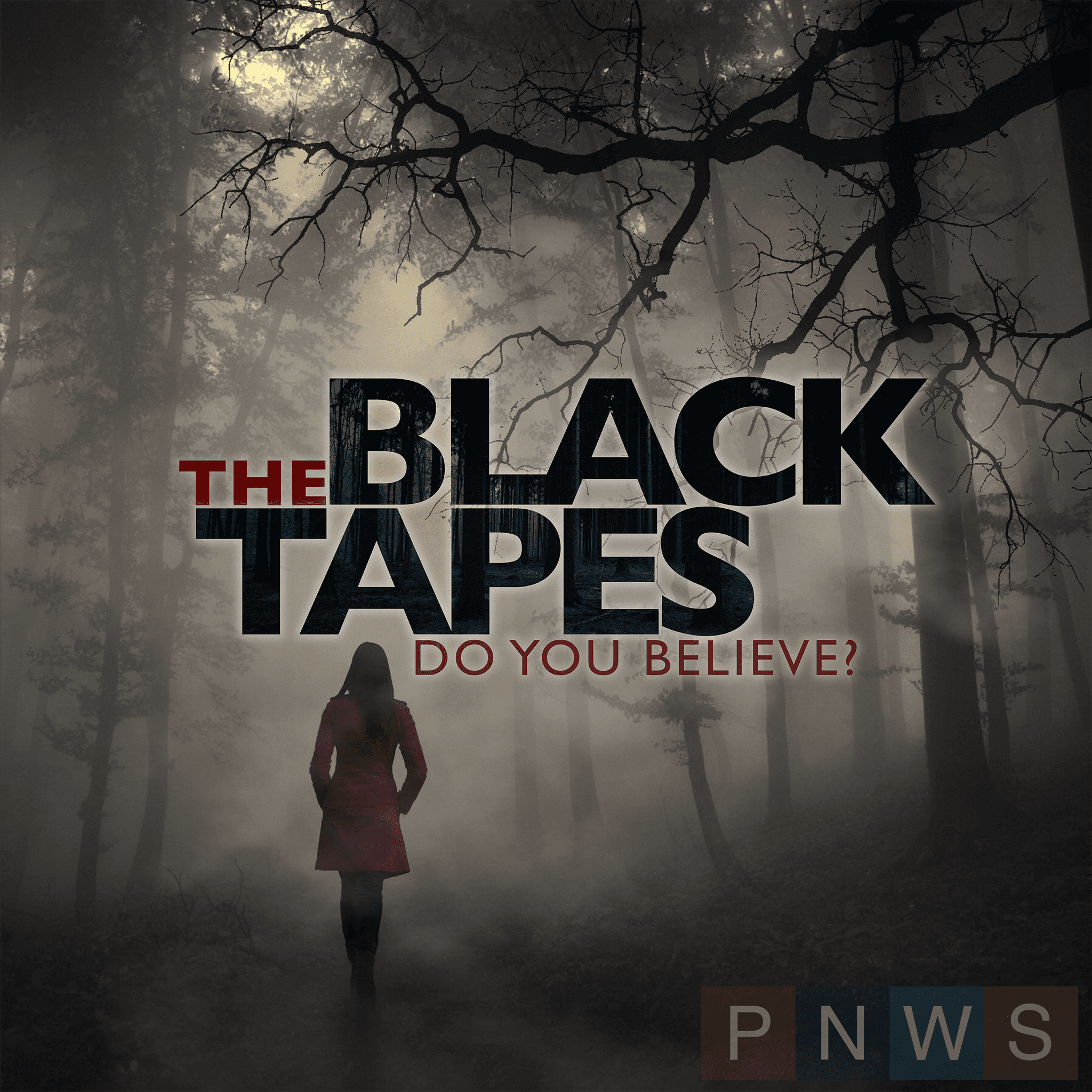 The Black Tapes cover