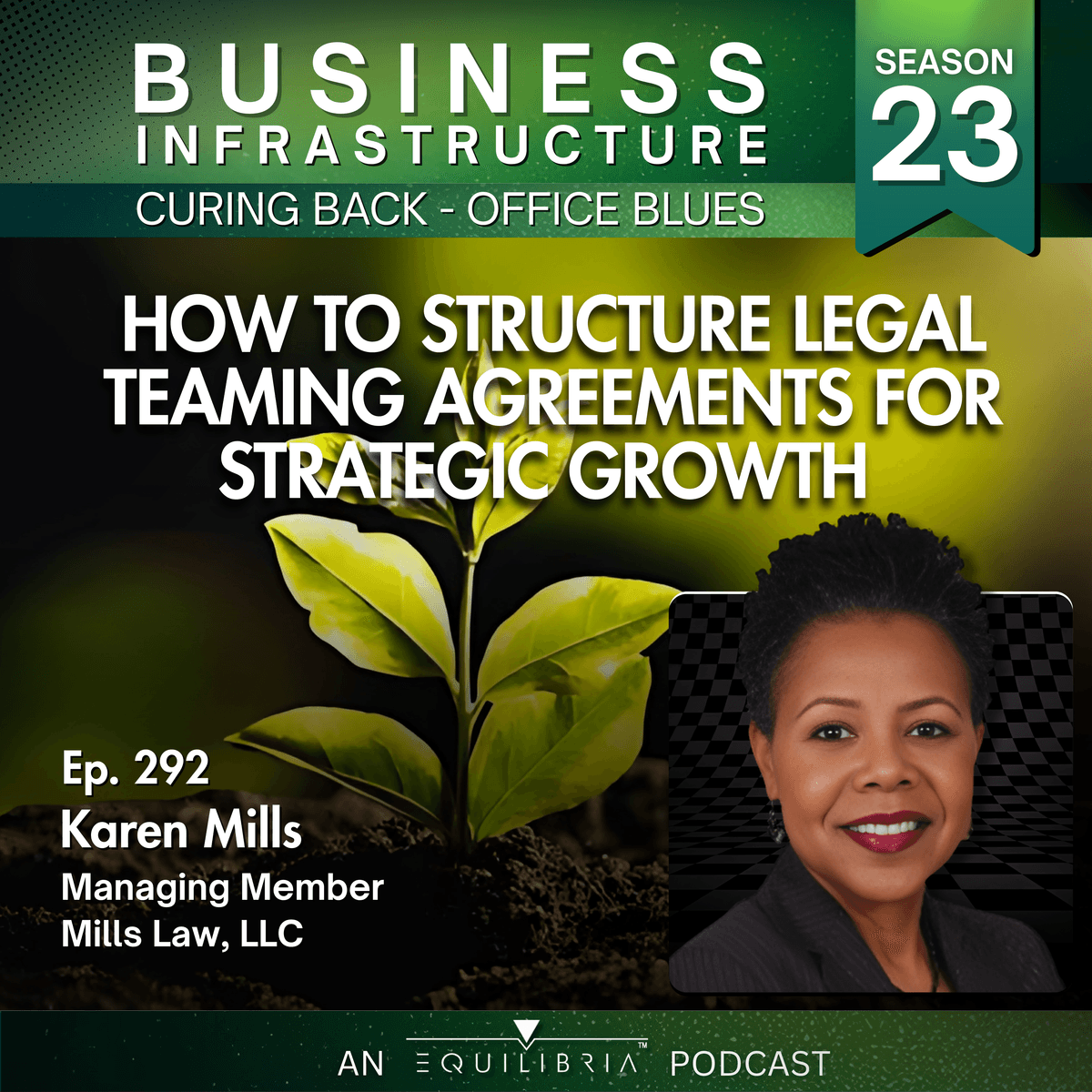 292: Karen Mills Explains How to Structure Legal Teaming Agreements for Strategic Growth - Business Infrastructure - Curing Back Office Blues cover
