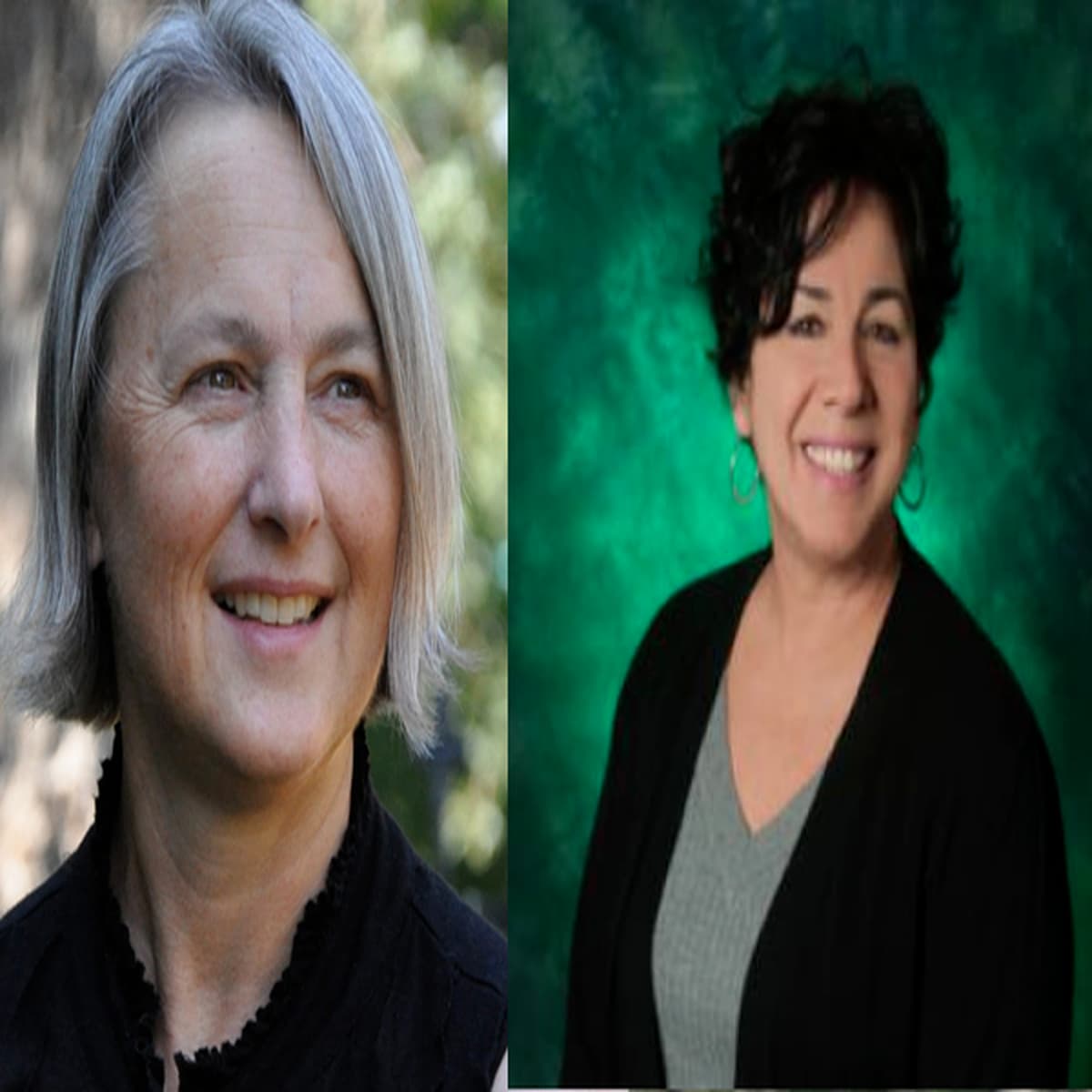 Bonus Episode 30 - An Interview with Dr. Shala Ala'i-Rosales + Peggy Heinkel-Wolfe - ABA Inside Track cover