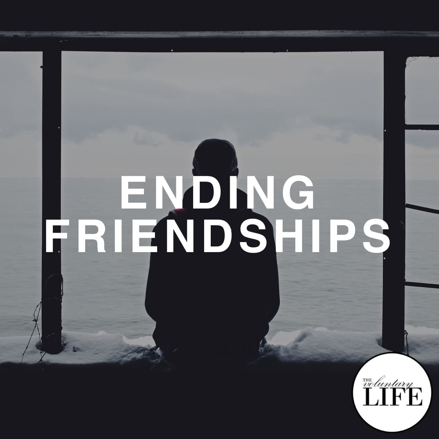 Bonus Episode 5: Ending Friendships - The Voluntary Life cover