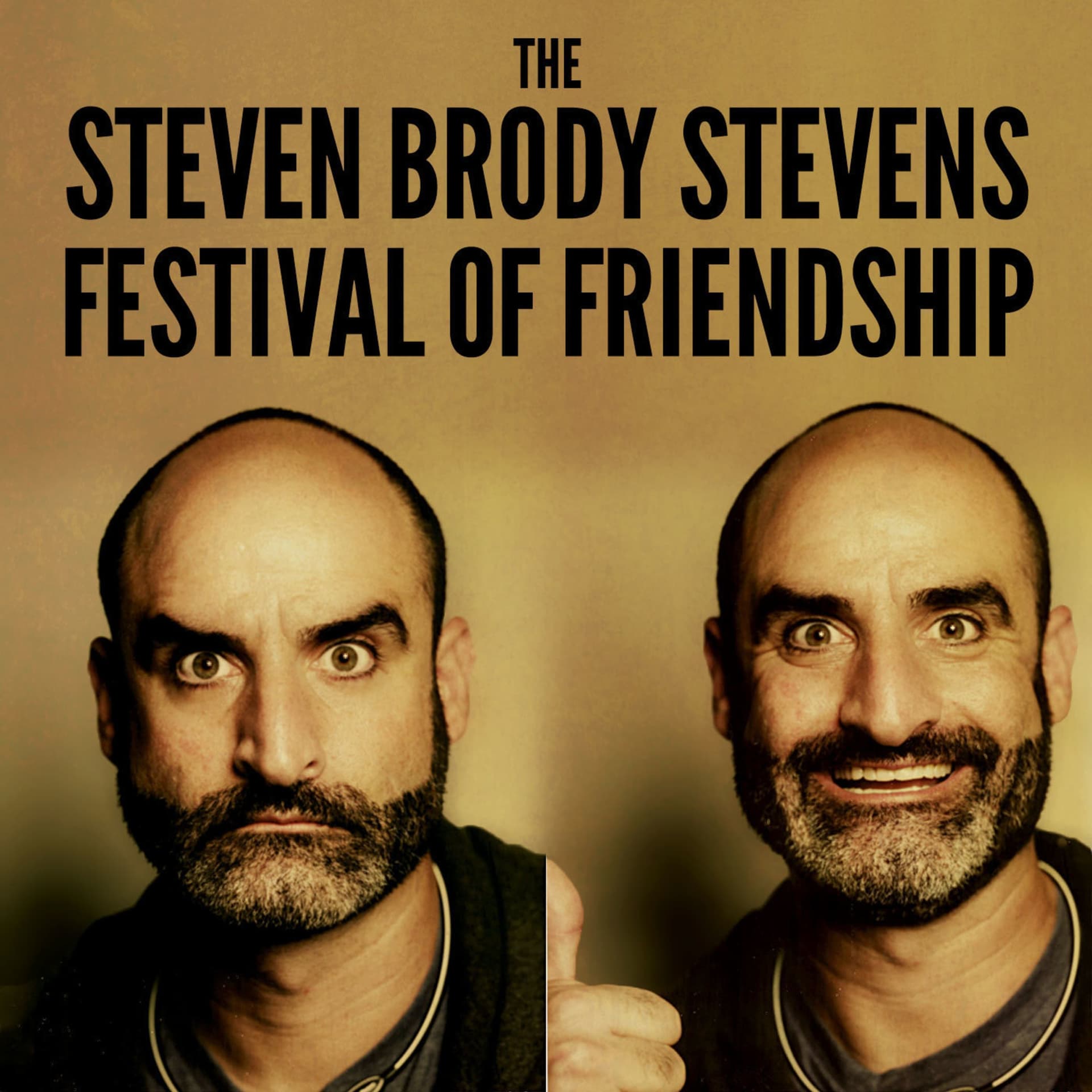 The Steven Brody Stevens Festival Of Friendship cover