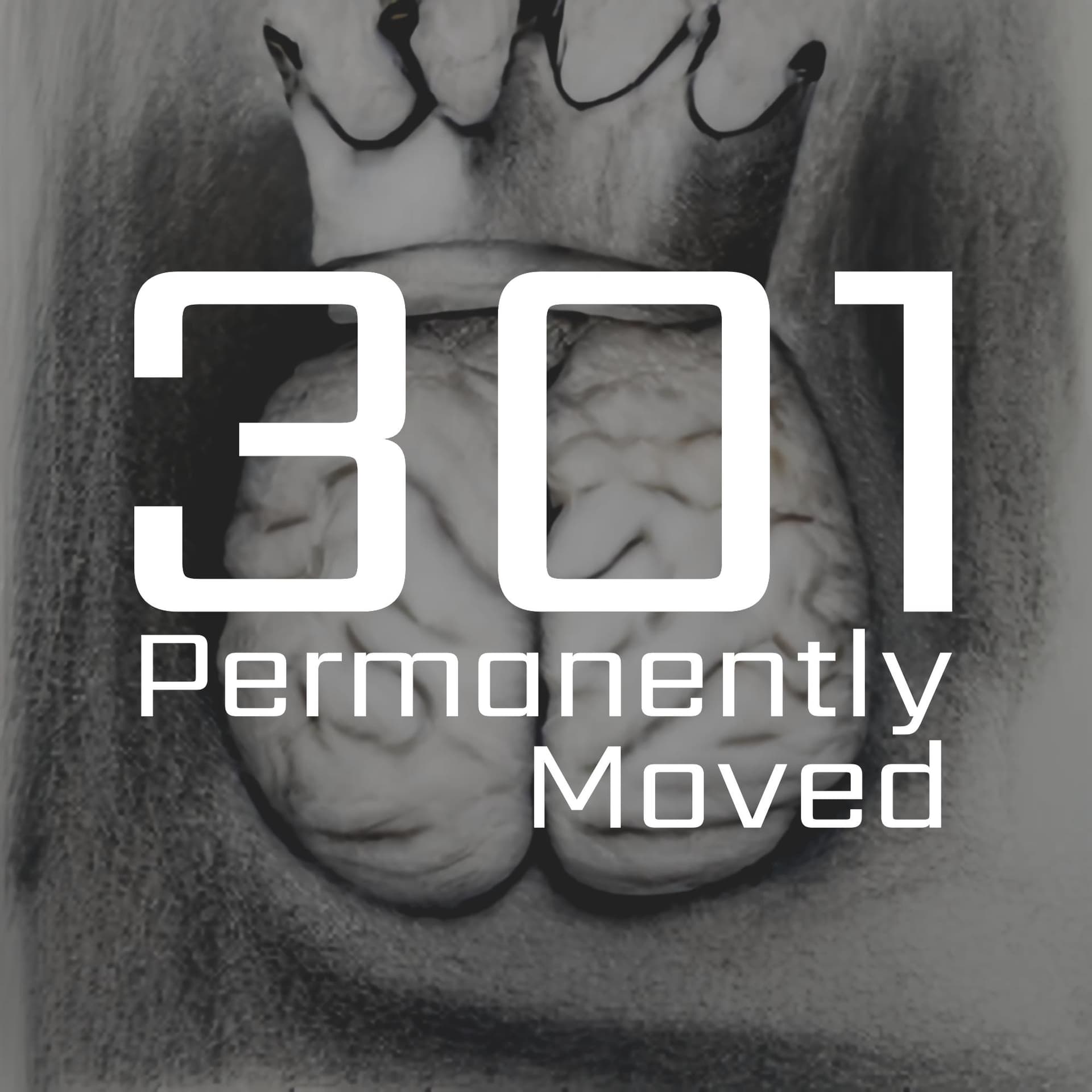2518: King of Mind - Permanently Moved cover