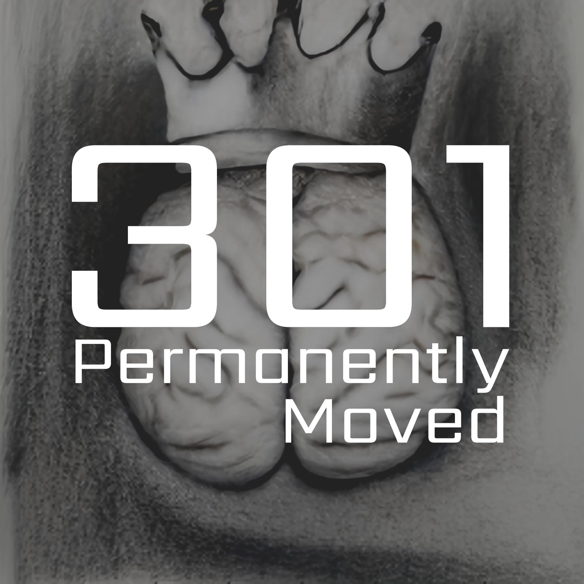 2518: King of Mind - Permanently Moved cover