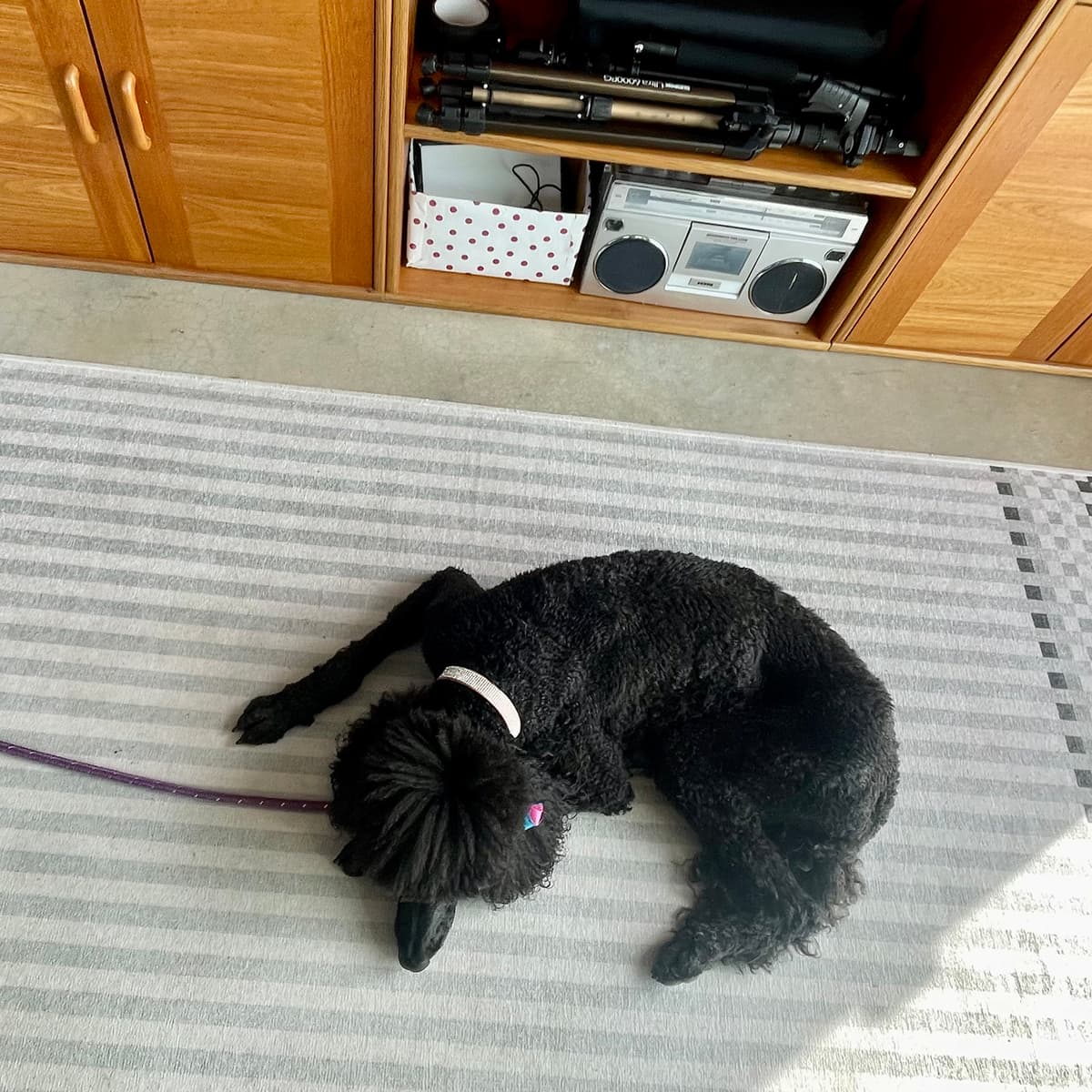 #4549 The Slow Cryptid Movement - TBTL: Too Beautiful To Live cover