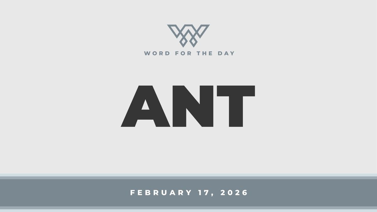 ANT - Word for the Day cover