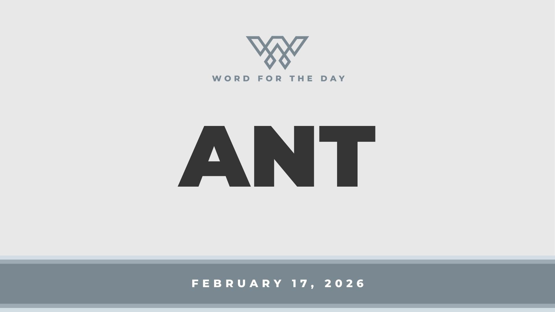 ANT - Word for the Day cover