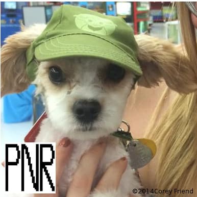 PNR #50 - PNR: Play Nemesis Radio cover