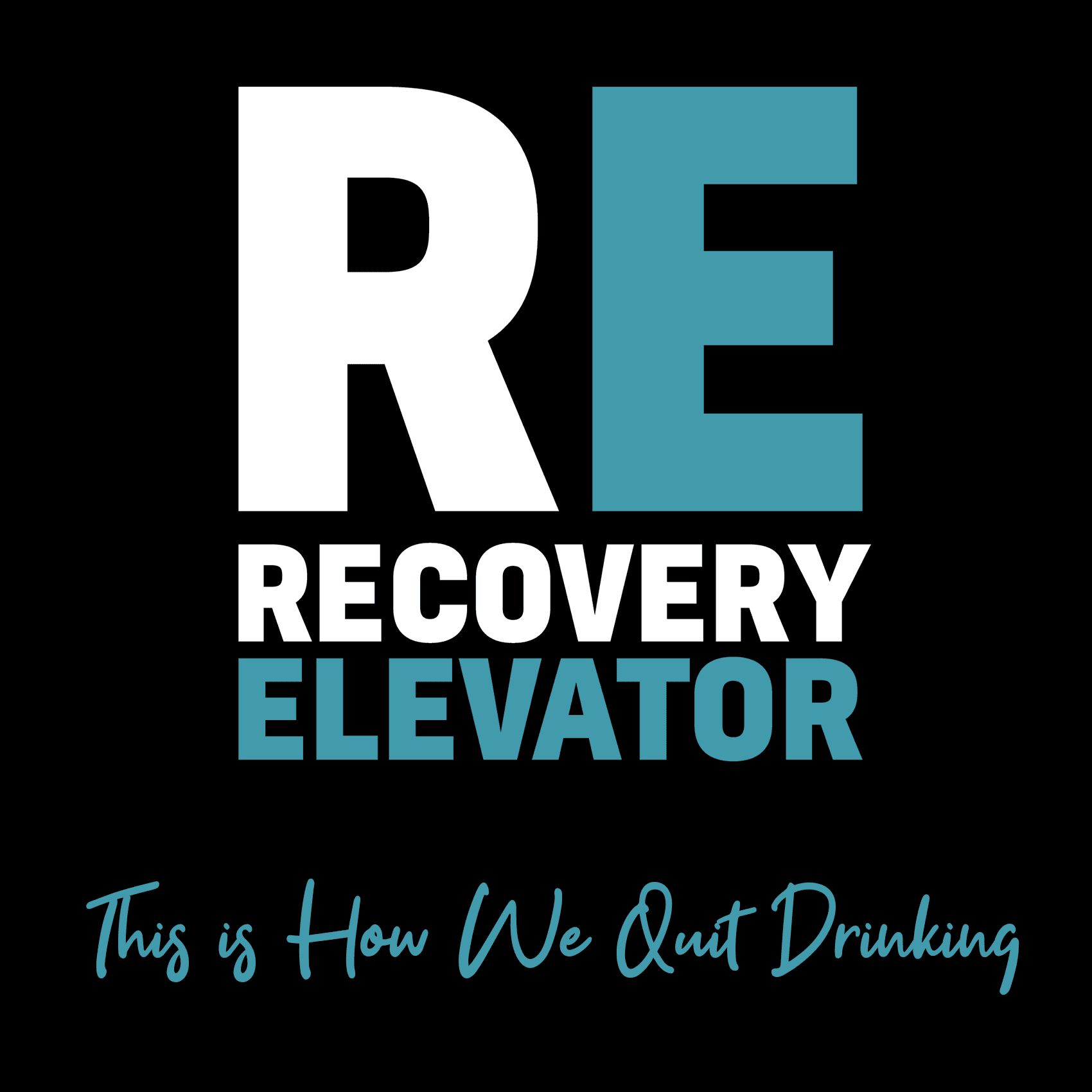 RE 495: Stay the Course - Recovery Elevator cover