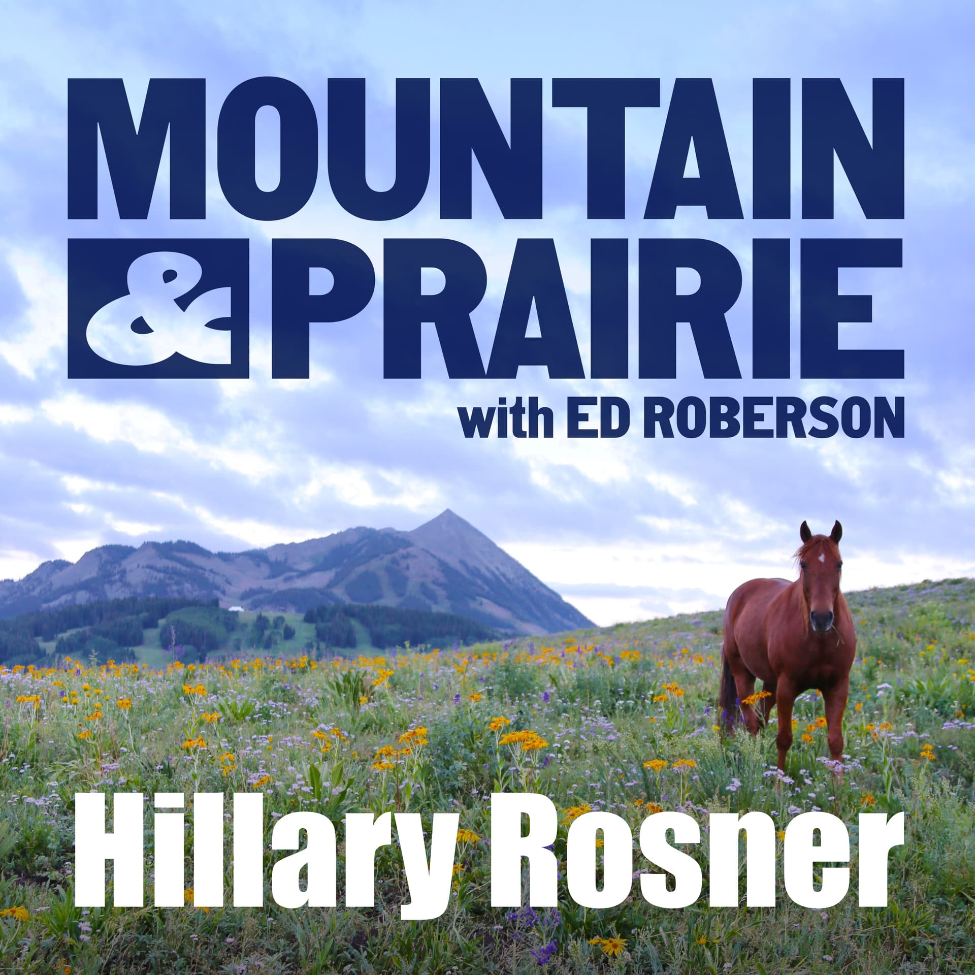 Hillary Rosner - Why Wildlife Needs Room to Roam - Mountain & Prairie with Ed Roberson cover