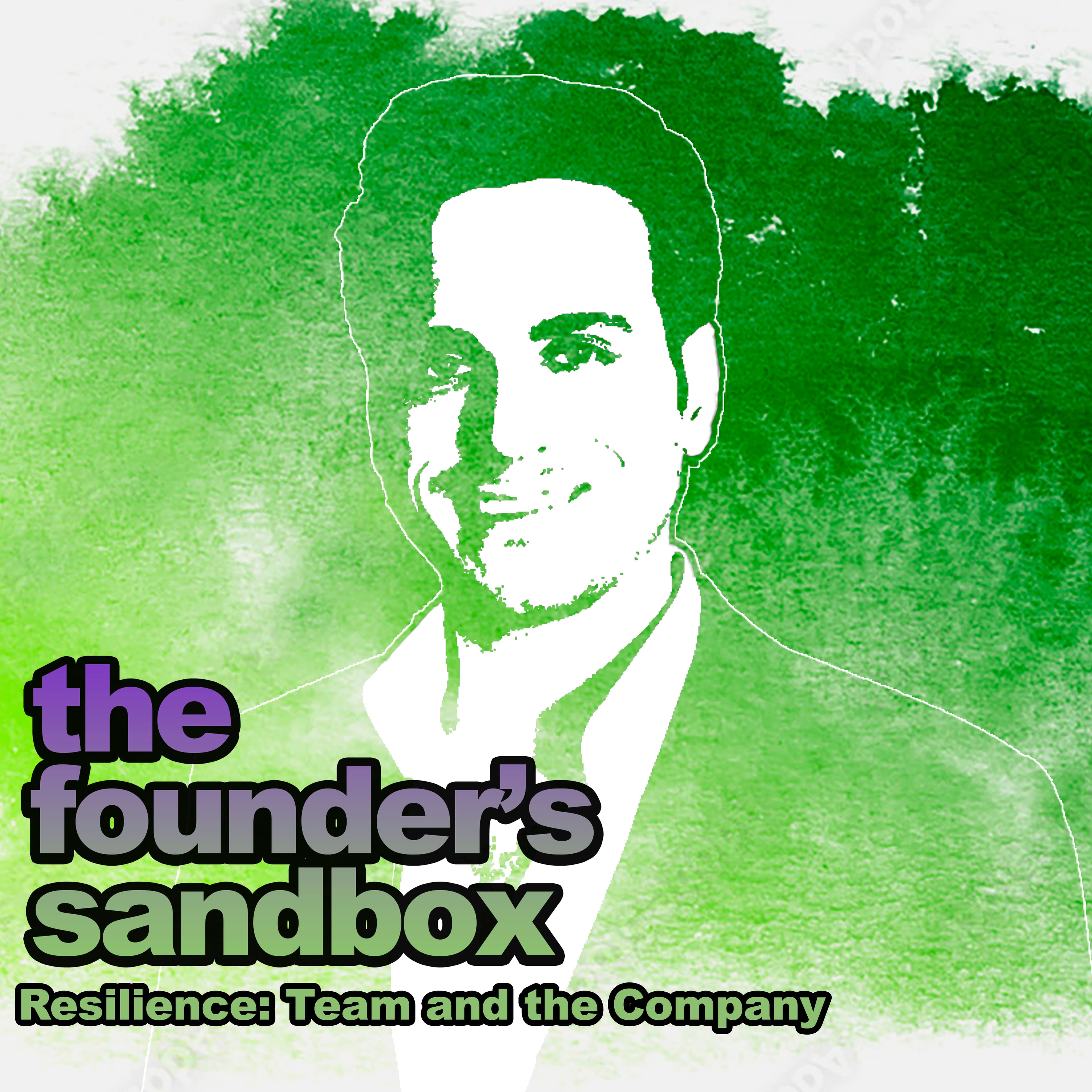 Resilience: Team and the Company - The Founders Sandbox cover