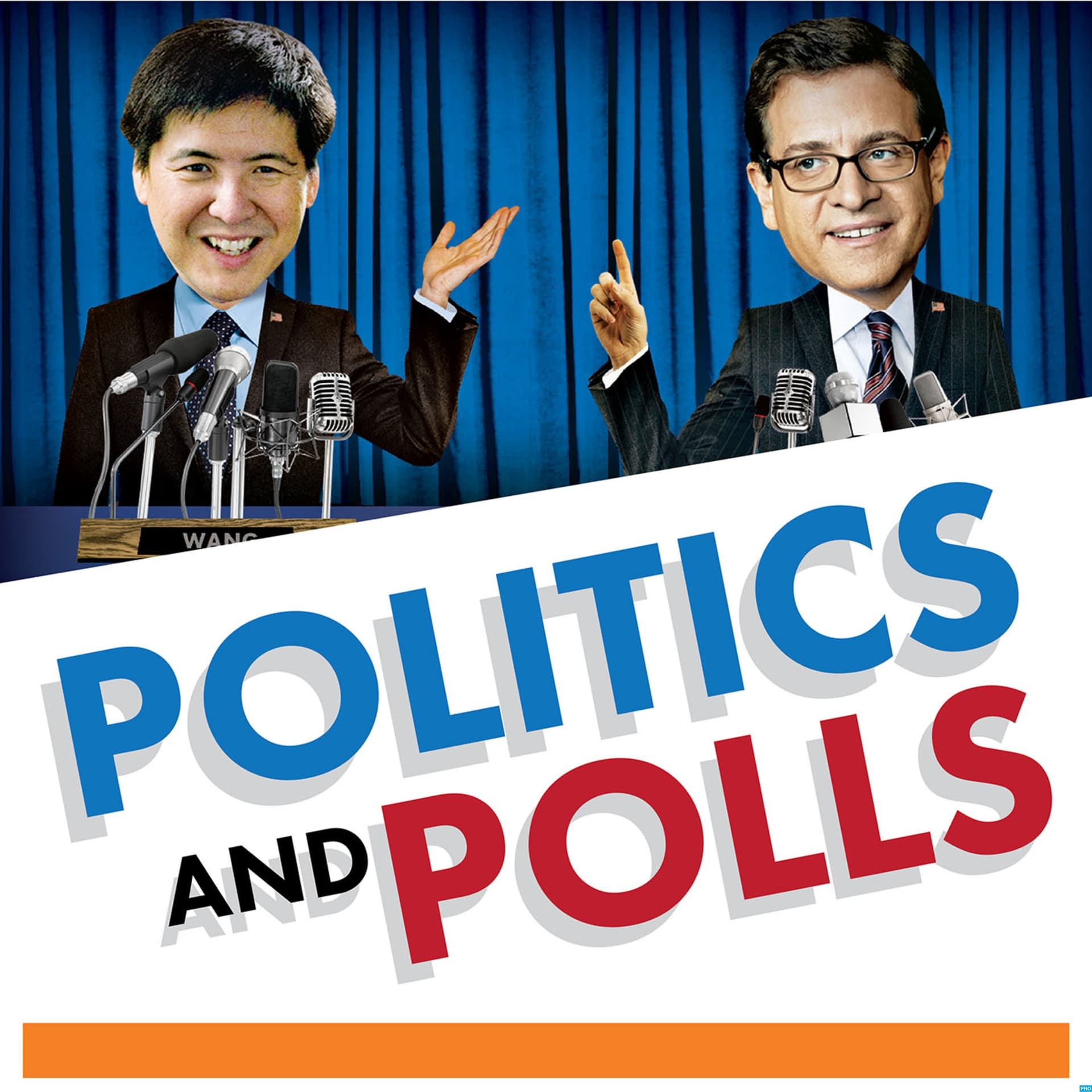 Politics and Polls cover