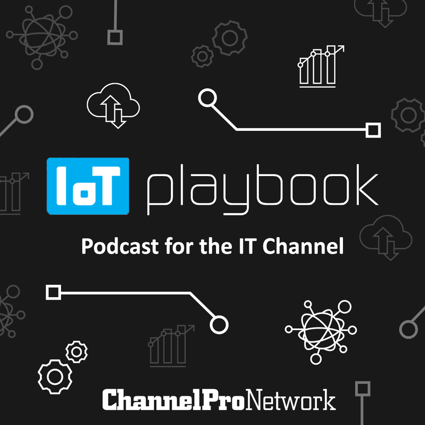 IoT Playbook cover