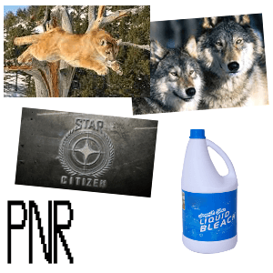 PNR #55 - PNR: Play Nemesis Radio cover