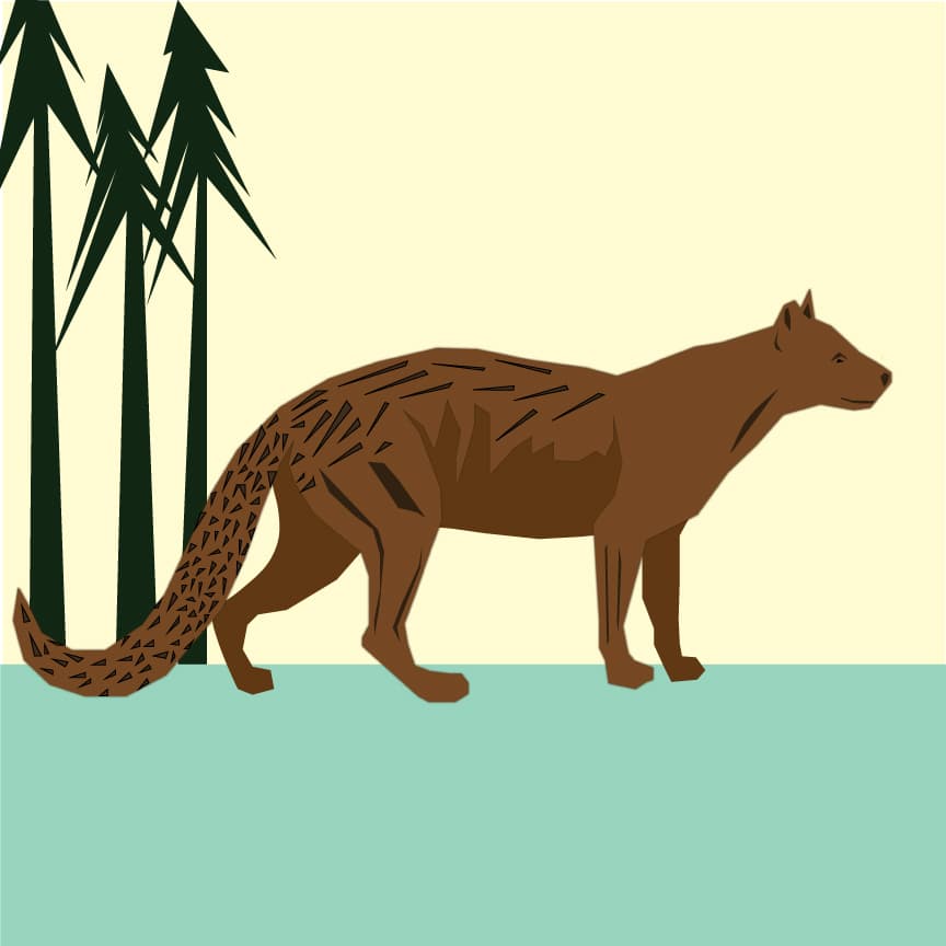 Dogs in the Forest - The Adaptors cover