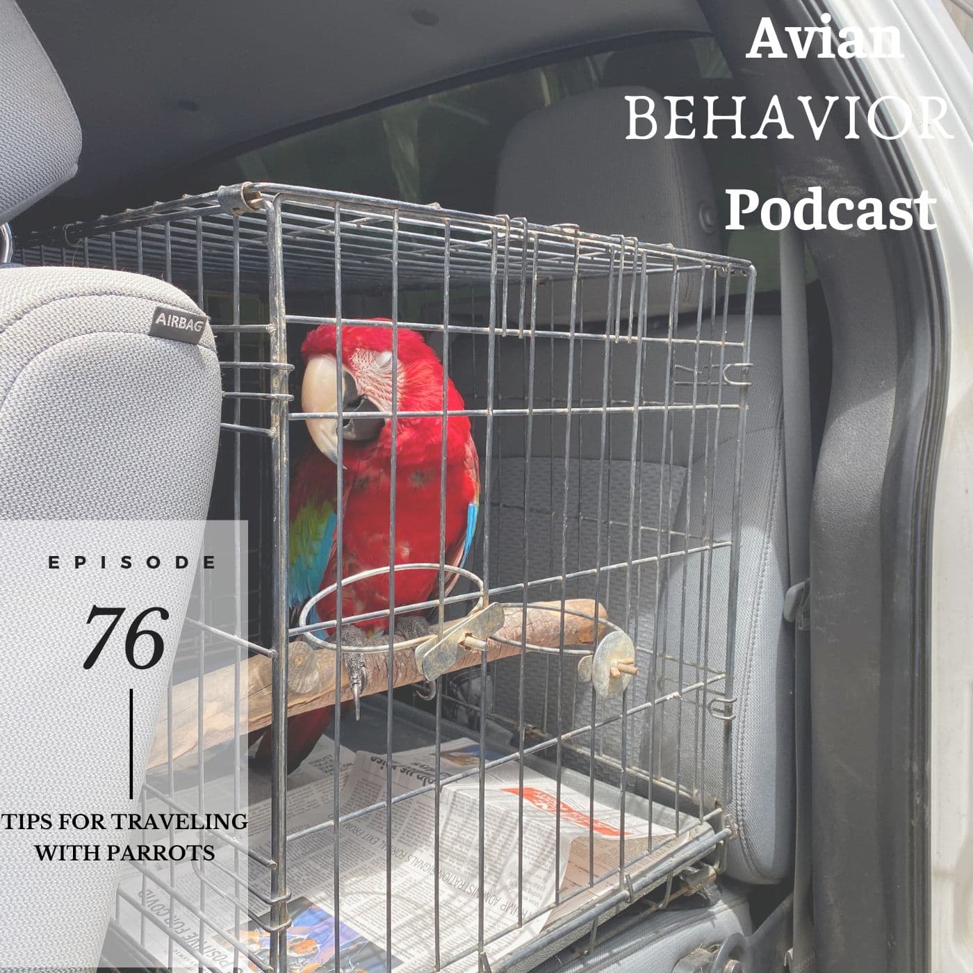 76 Tips for Traveling with Parrots - The Avian Behavior Podcast cover