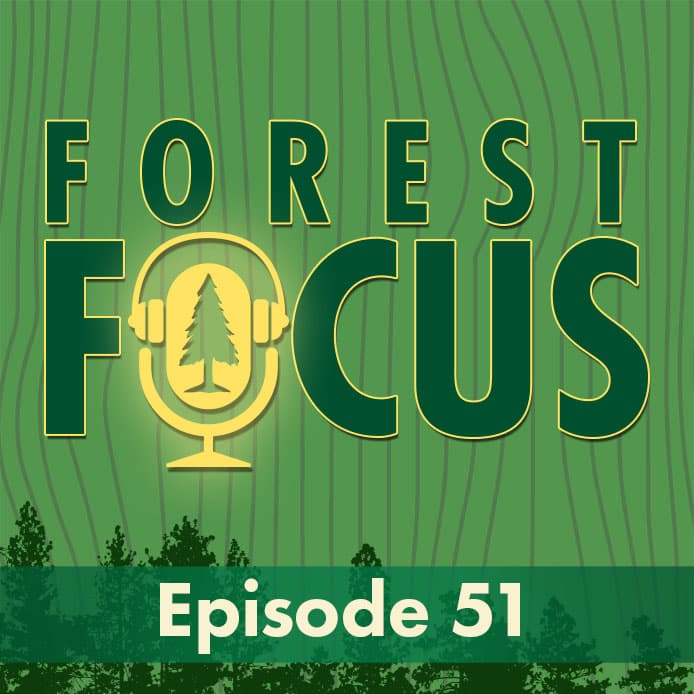 Episode 51: For the Frogs - Investigation - Forest Focus cover