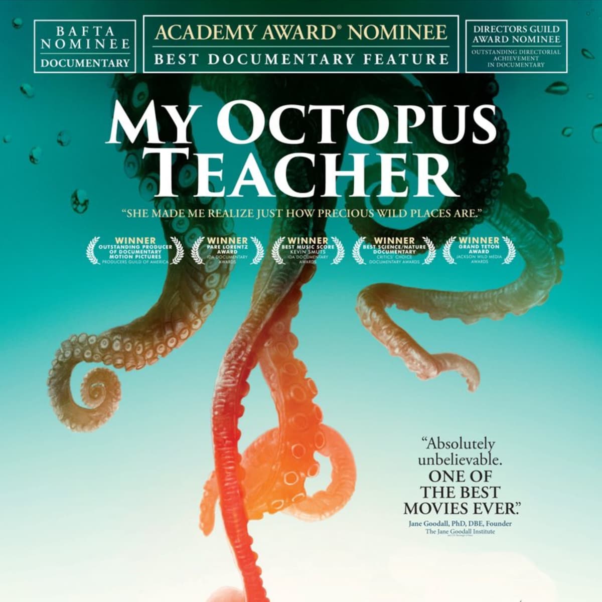 Roger Horrocks - My Octopus Teacher, Cinematographer - Behind the Wild Lens cover