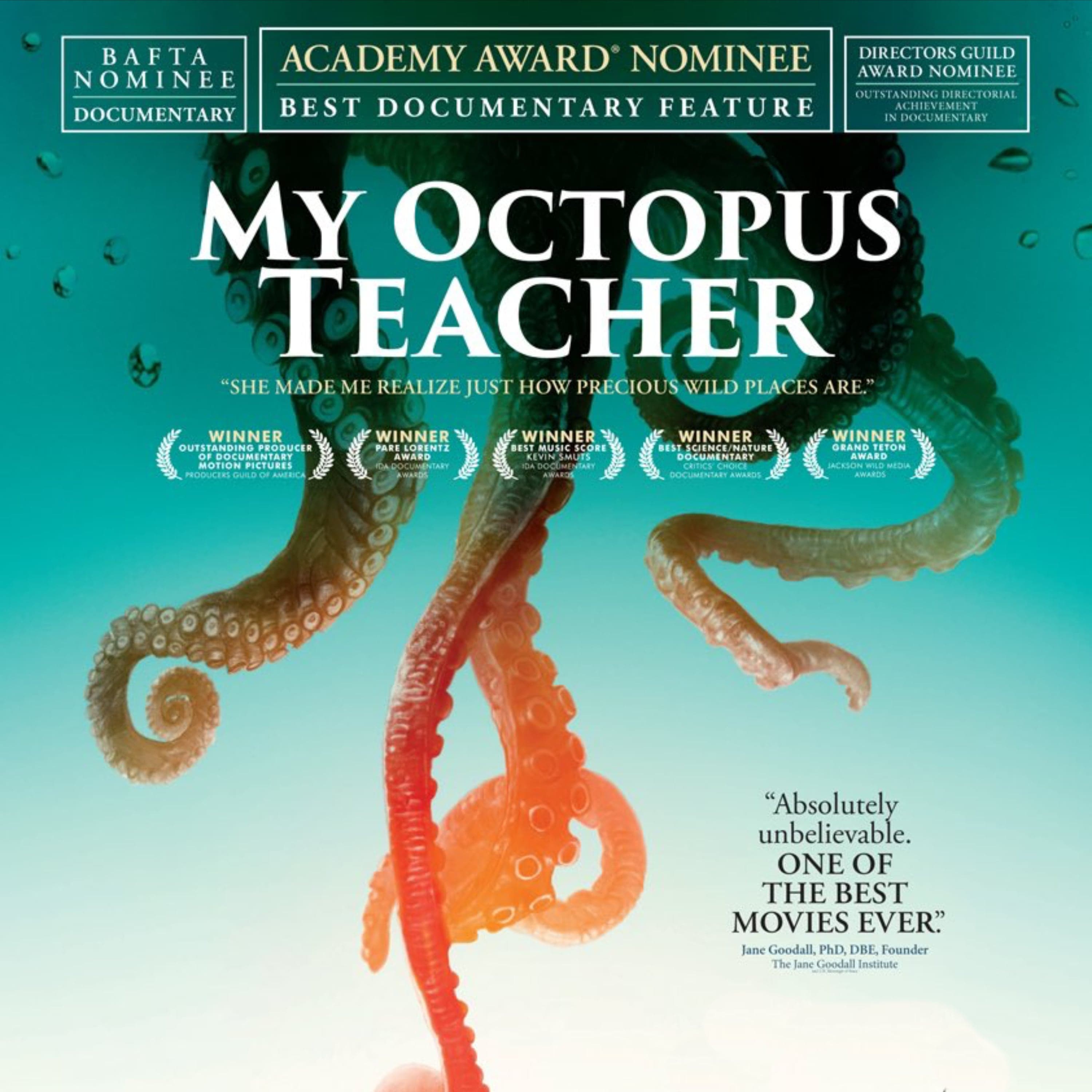 Roger Horrocks - My Octopus Teacher, Cinematographer - Behind the Wild Lens cover