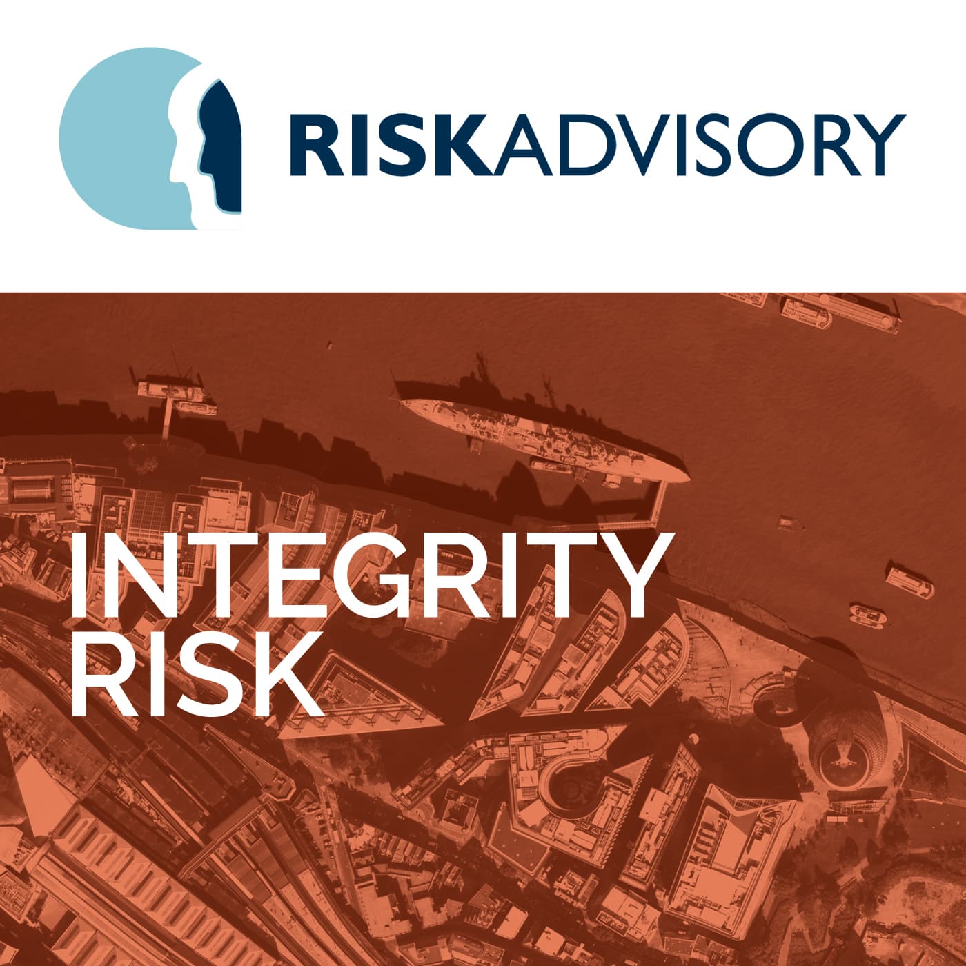 Integrity Risk cover