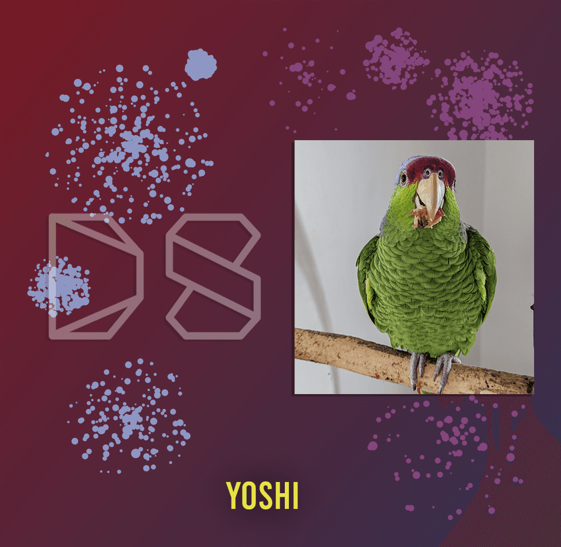 k-means Image Segmentation - Data Skeptic cover