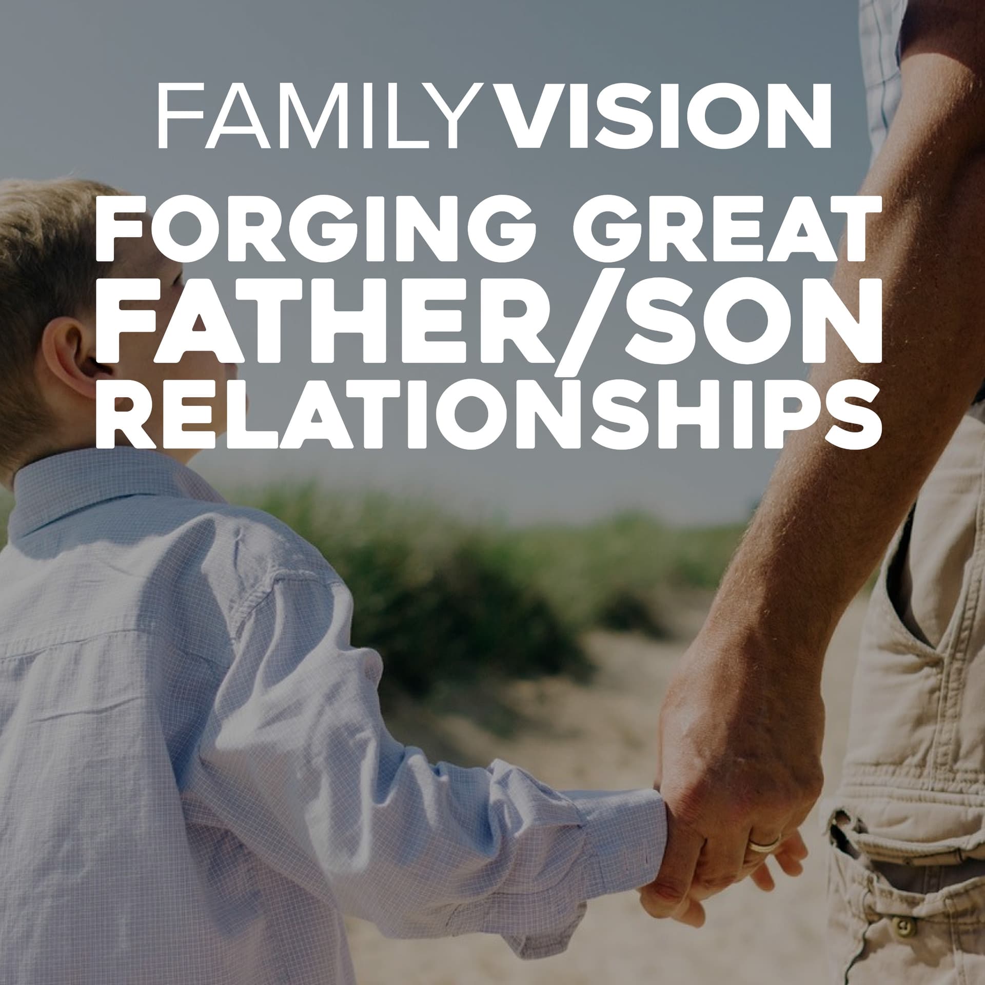 Forging Great Father Son Relationships — Family Vision: Christian Parenting, Marriage & Family Advice cover