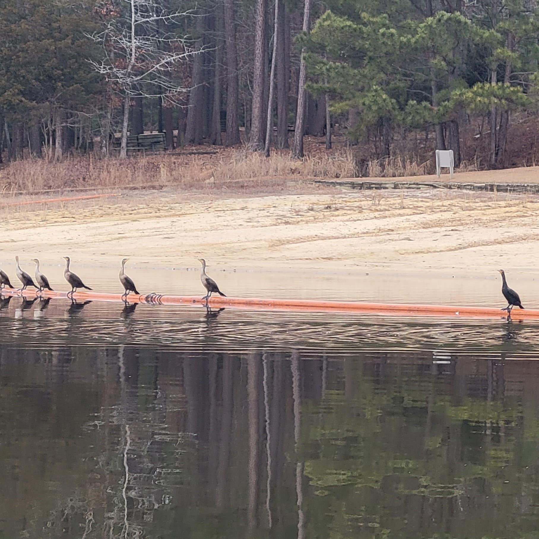 70 degrees on February 3rd 2022 - Fishing And Talking cover