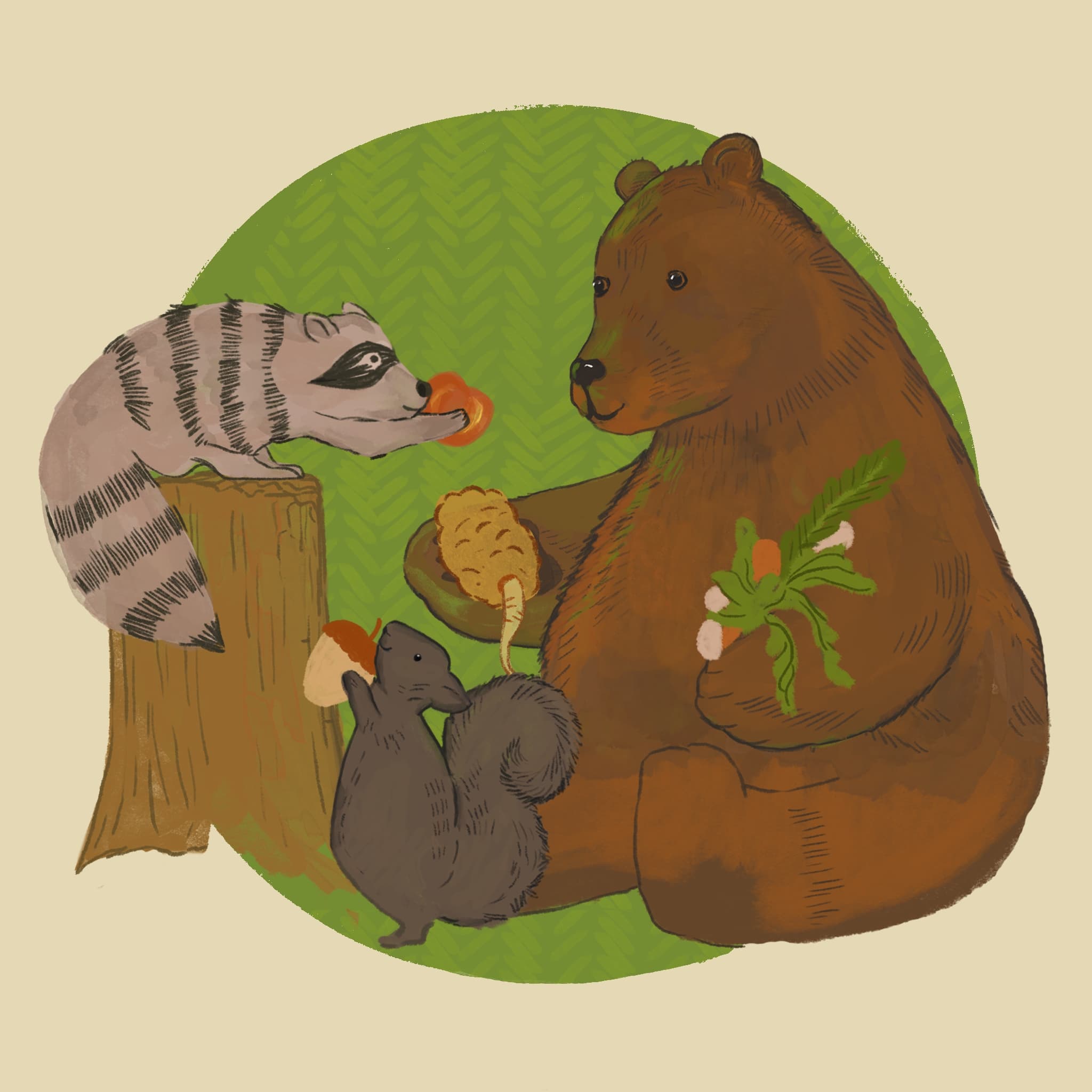 Raccoon's Redemption - Once Upon a Meadow cover