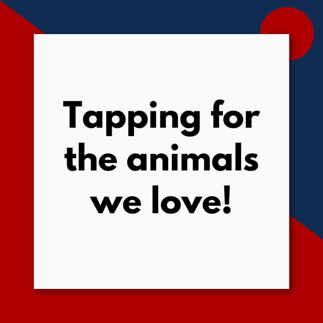 Tapping for Animals (Pod #667) - Tapping Q & A - Getting the most out of tapping and EFT cover