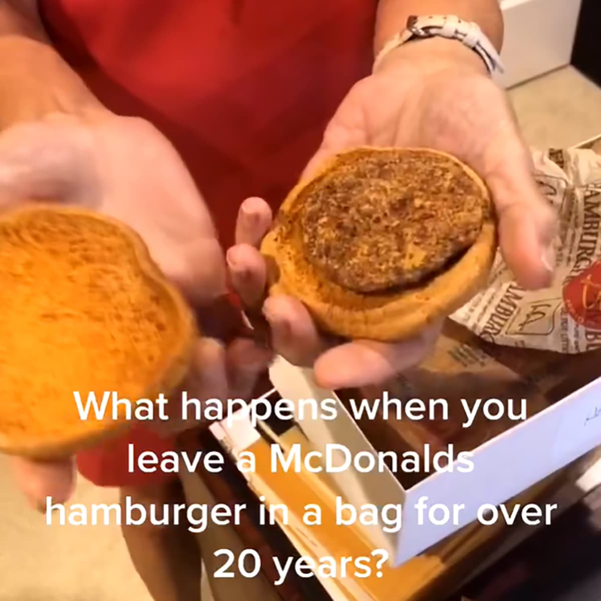 #4586 It's The Donkey For Me! - TBTL: Too Beautiful To Live cover