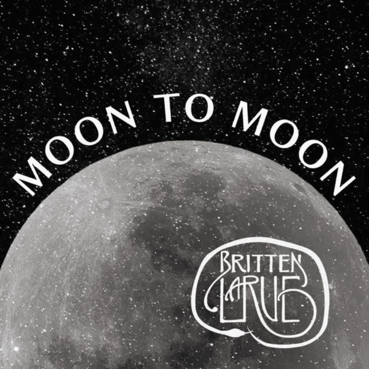 Moon to Moon cover