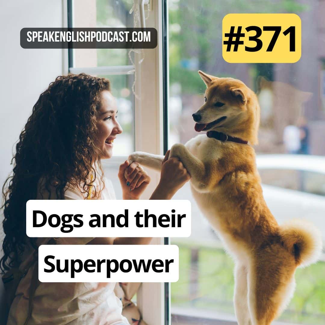 #371 Dogs and their superpower - Speak English Now Podcast: Learn English | Speak English without grammar. cover