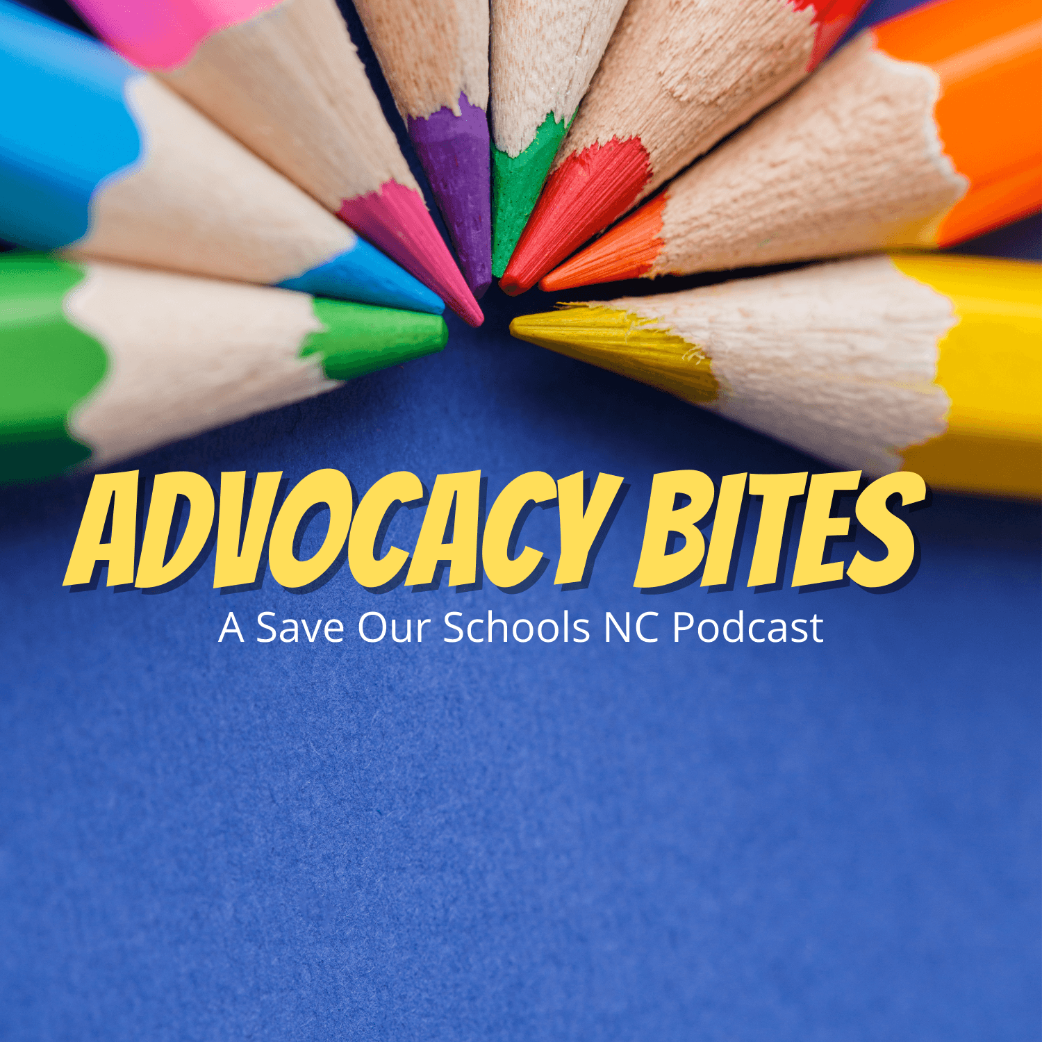 Advocacy Bites cover