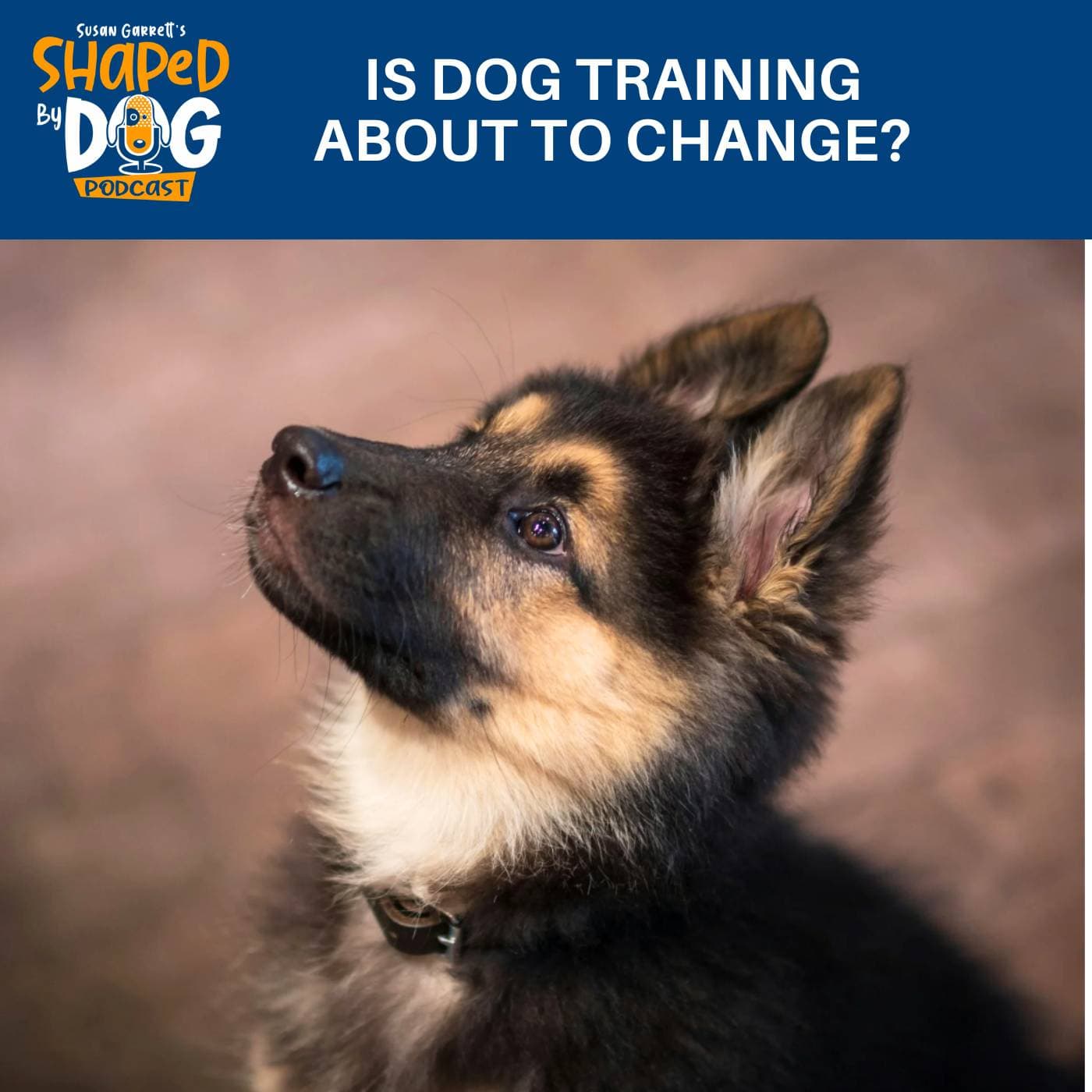 Is Dog Training About To Change? #330 - Shaped by Dog with Susan Garrett cover