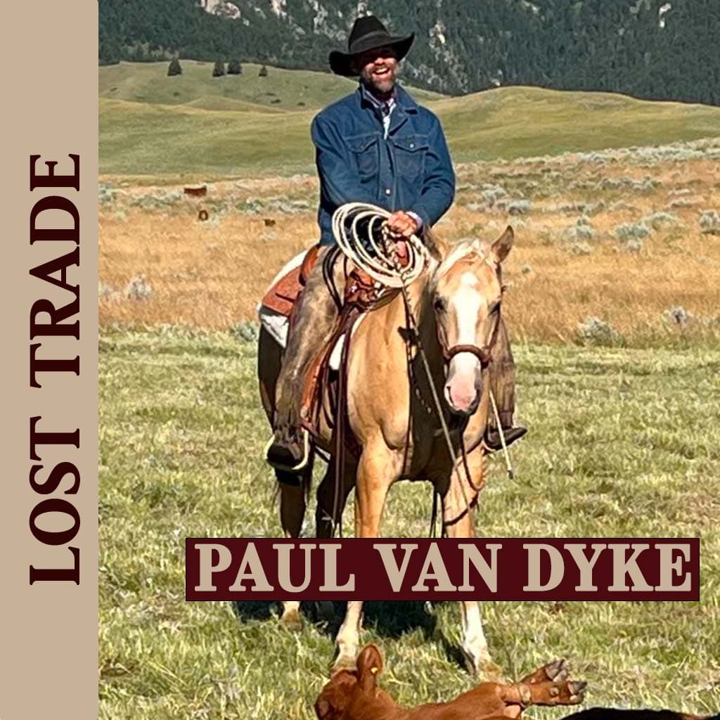 Paul Van Dyke - Lost Trade cover