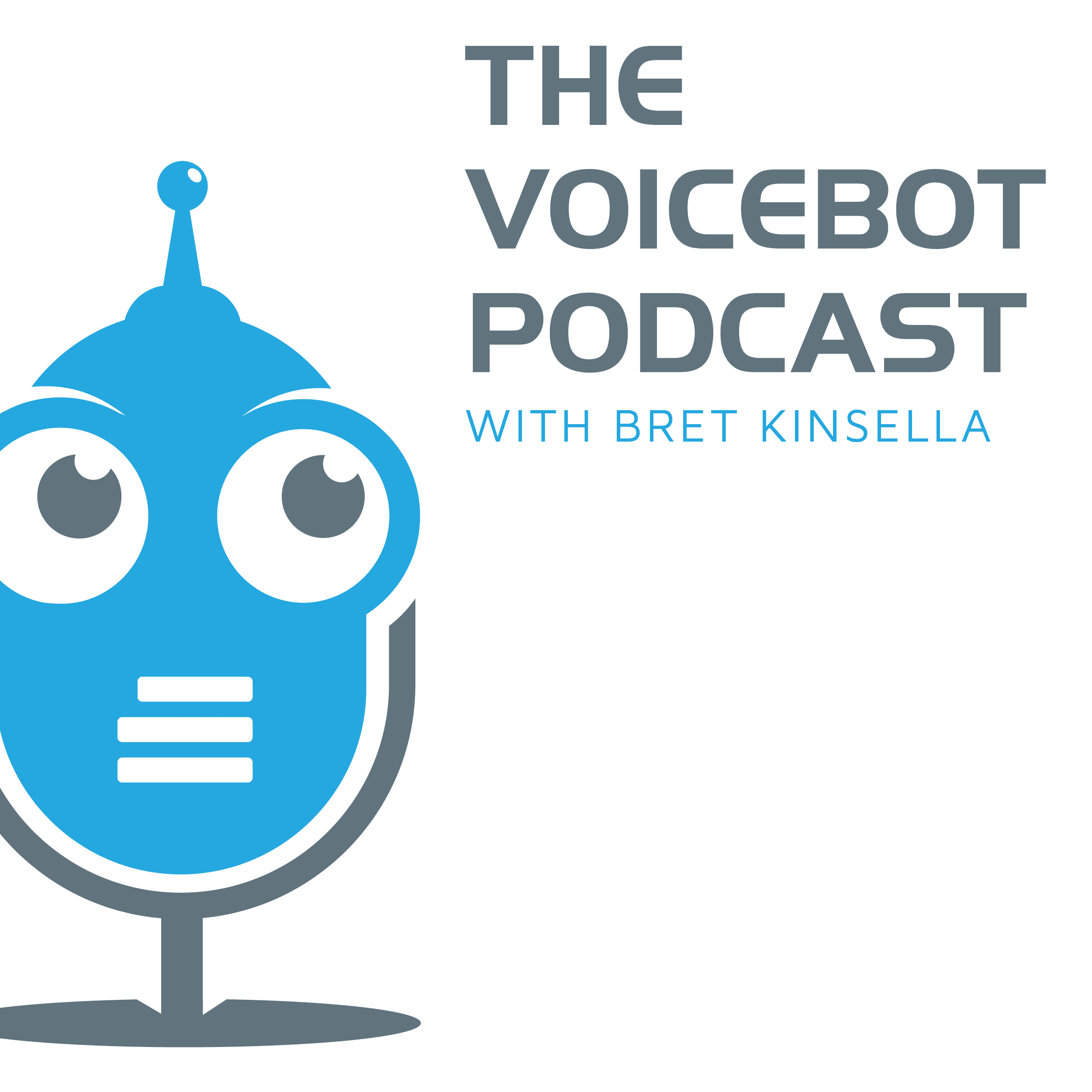 The Voicebot Podcast cover