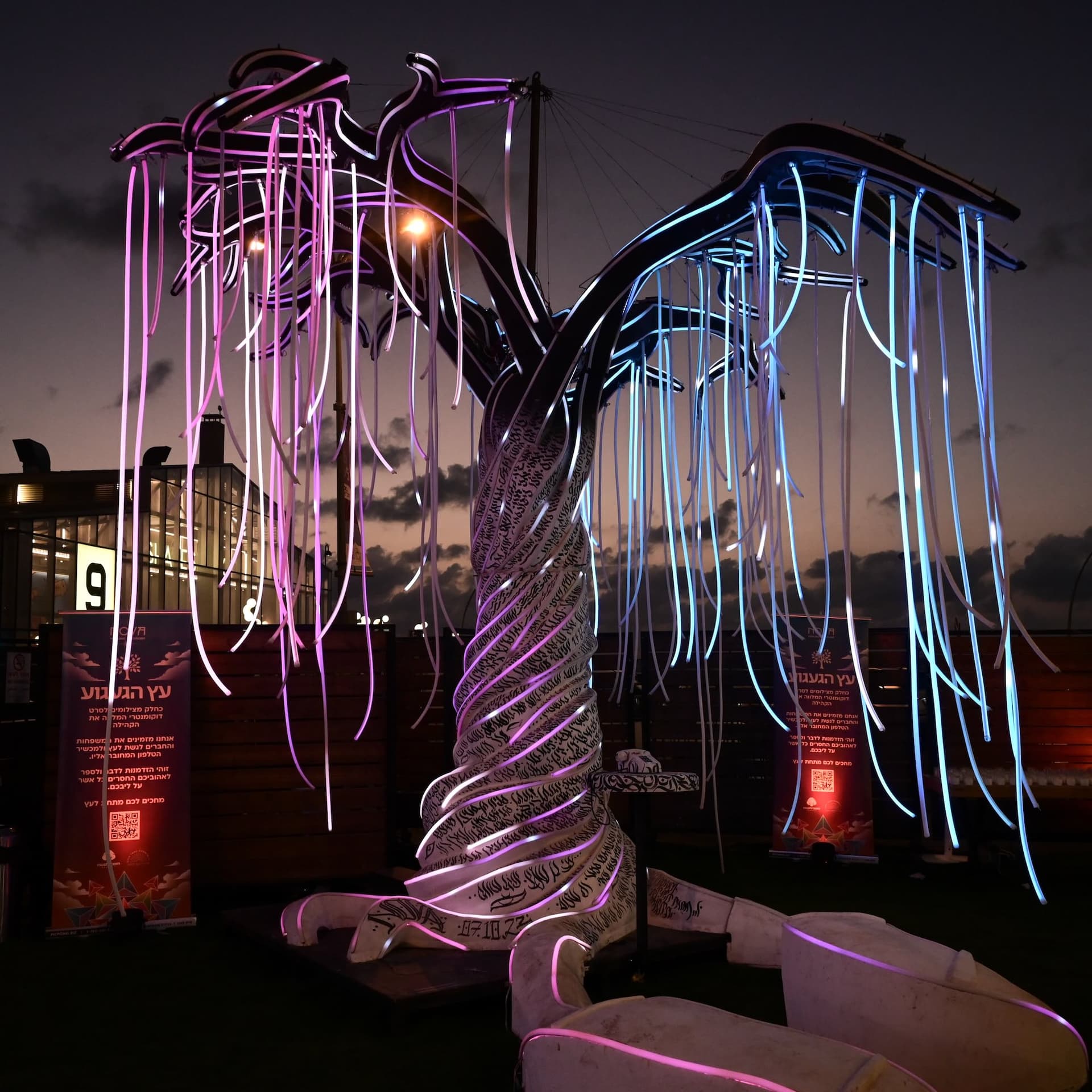 The "The Big Picture" Edition - The Promised Podcast cover