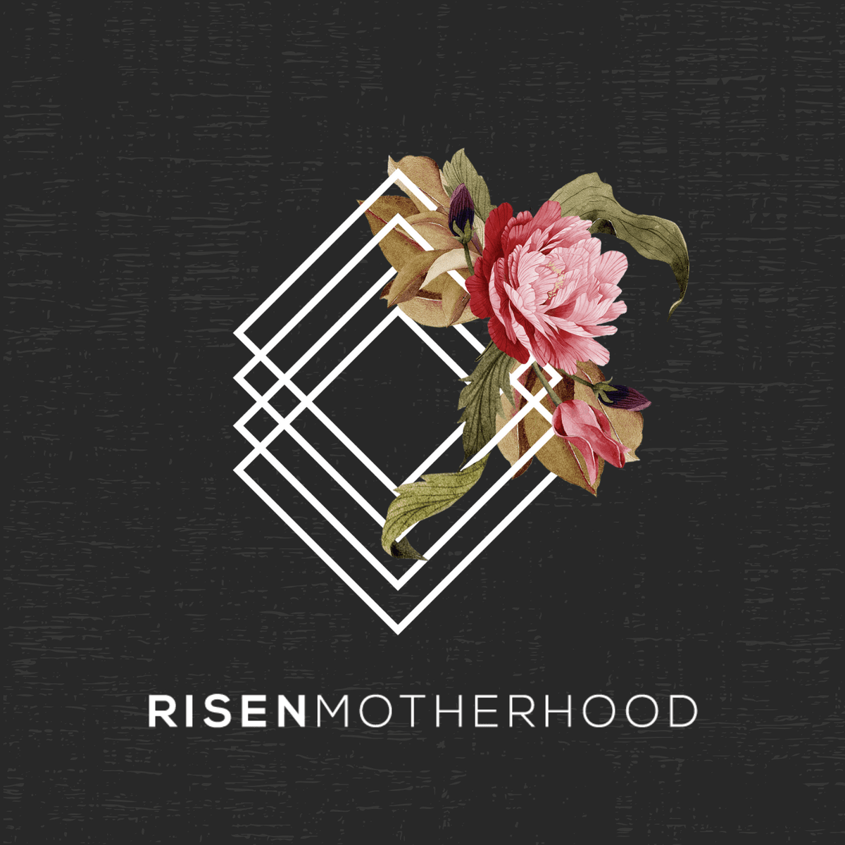 Ask Us Anything! Fall 2024 Edition - Risen Motherhood cover