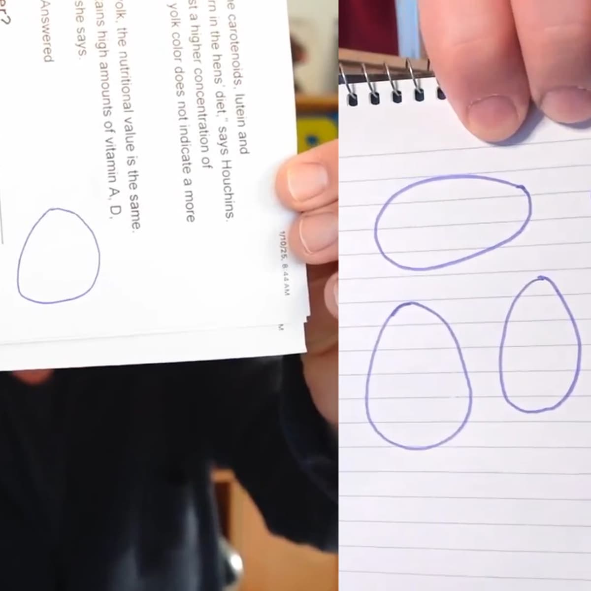 #4389 Eggers Can’t Be Choosers - TBTL: Too Beautiful To Live cover